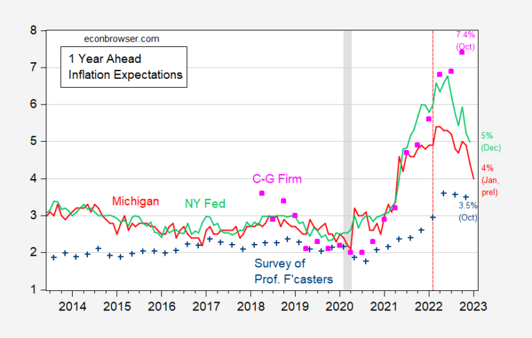 Demographic Variations In Inflation Expectations Econbrowser 5988