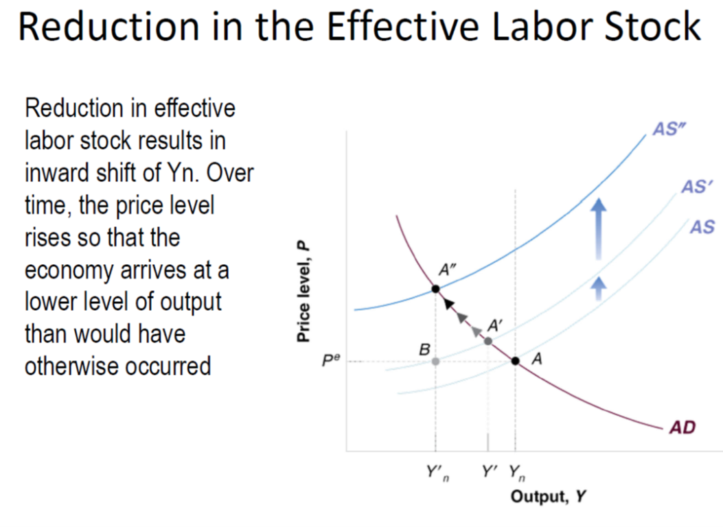 Macro Lecture Notes on Mass Deportation/Immigration Restriction